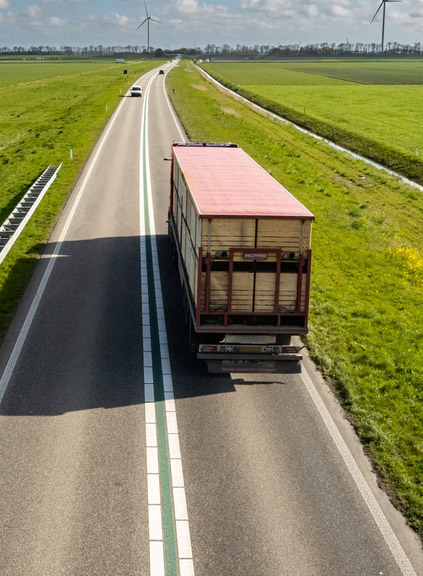 鍥劇墖鍚嶇О